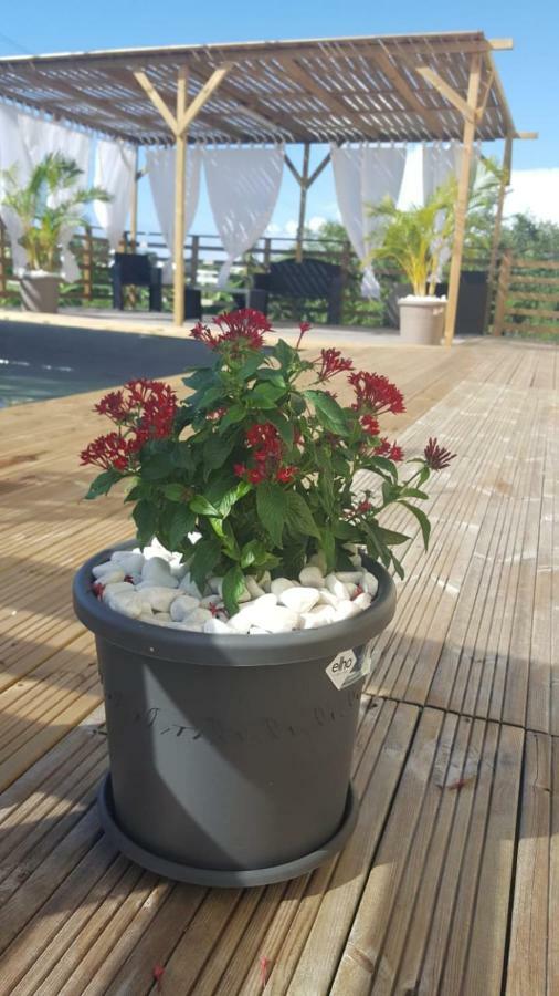 Villa La Soleil :) *